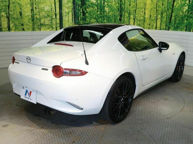ROADSTER RF