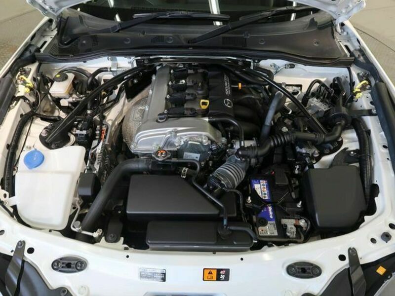 ROADSTER RF