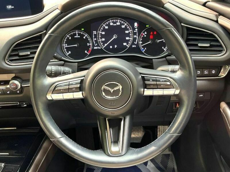 CX-30