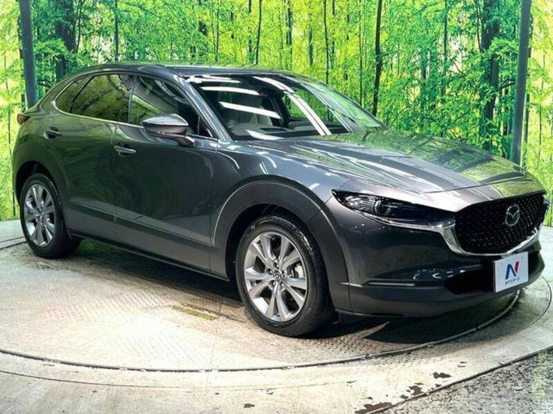 CX-30