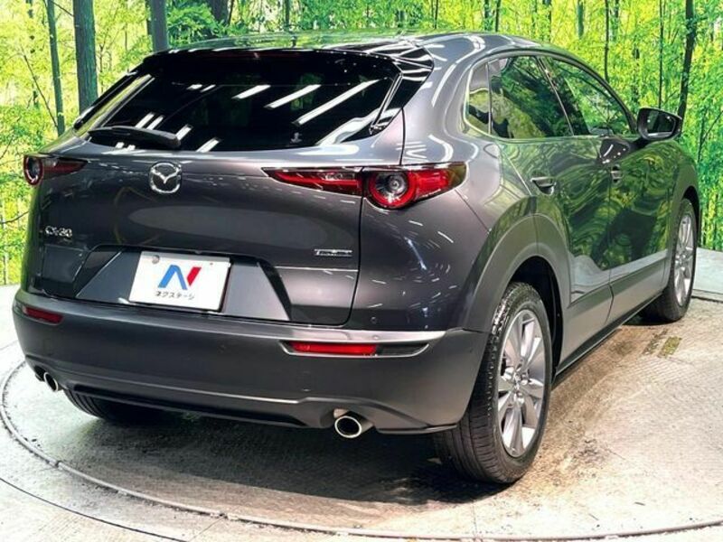 CX-30