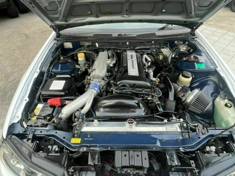 SILVIA