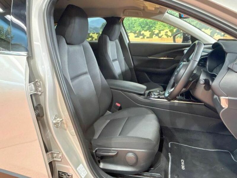 CX-30