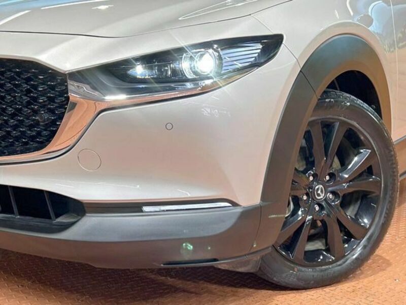 CX-30