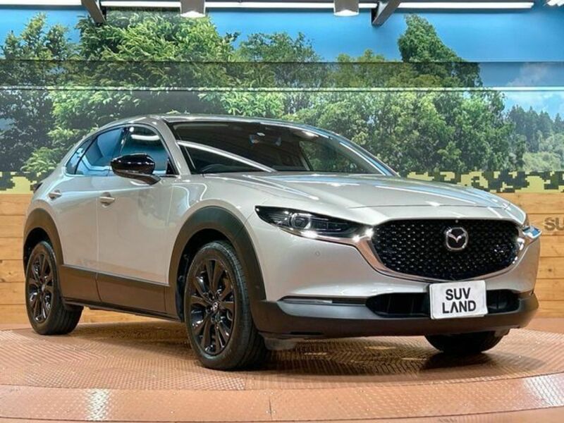 CX-30