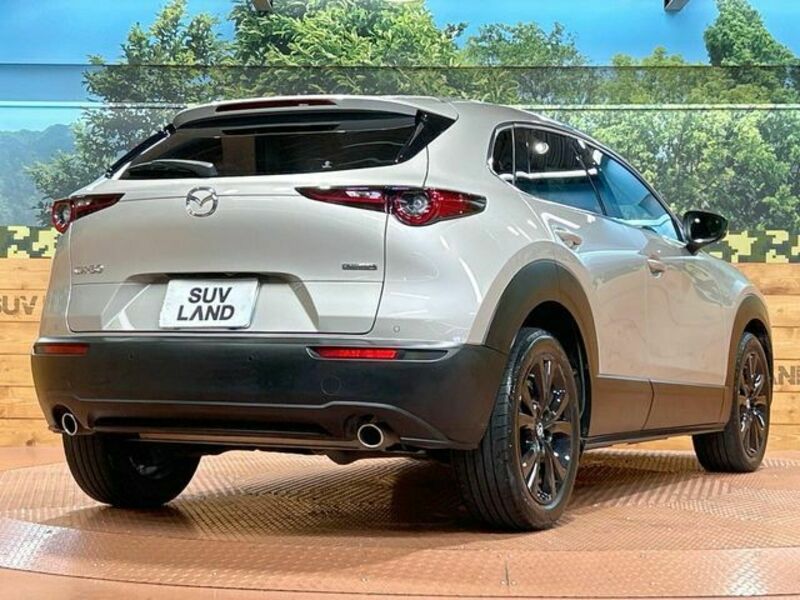 CX-30