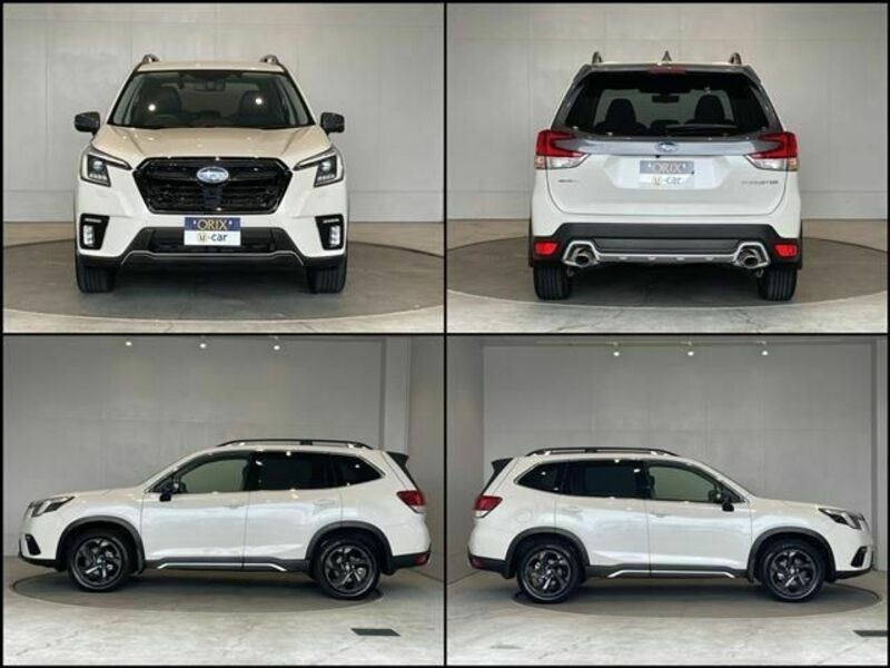 FORESTER