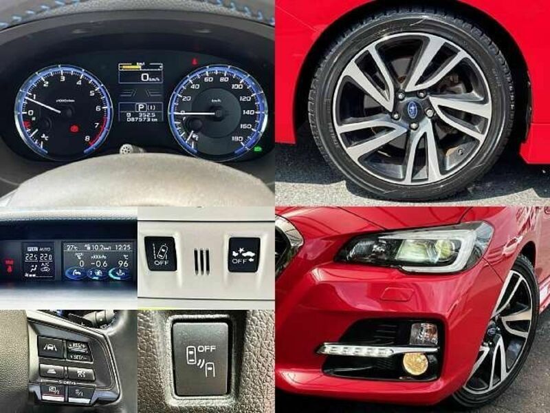 LEVORG