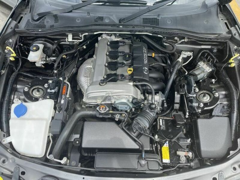 ROADSTER RF