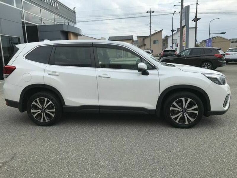 FORESTER