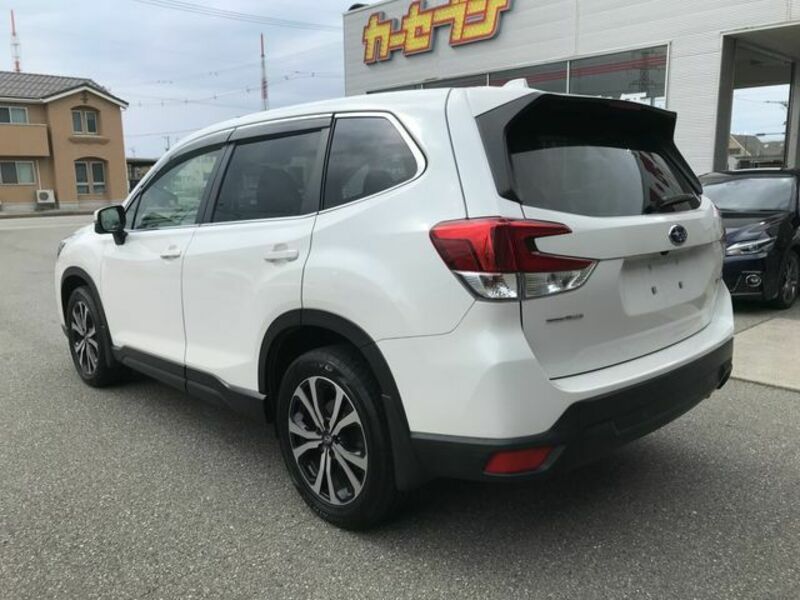 FORESTER