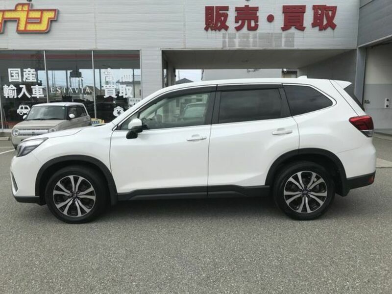 FORESTER