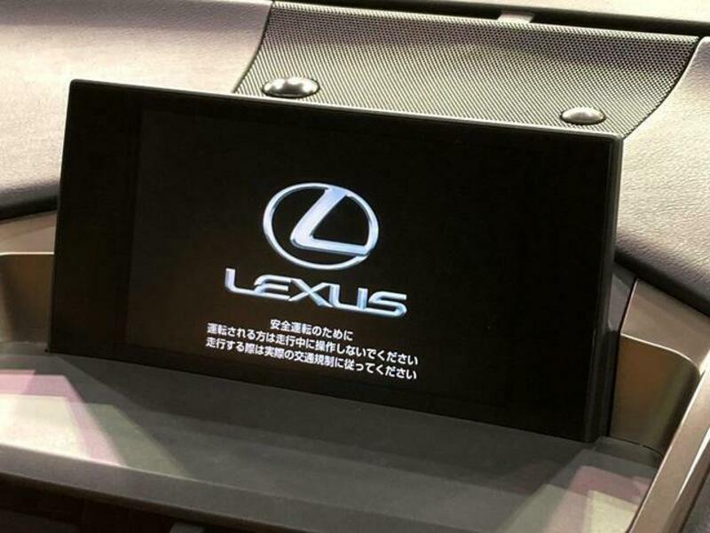 NX