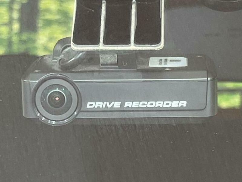 DAYZ ROOX