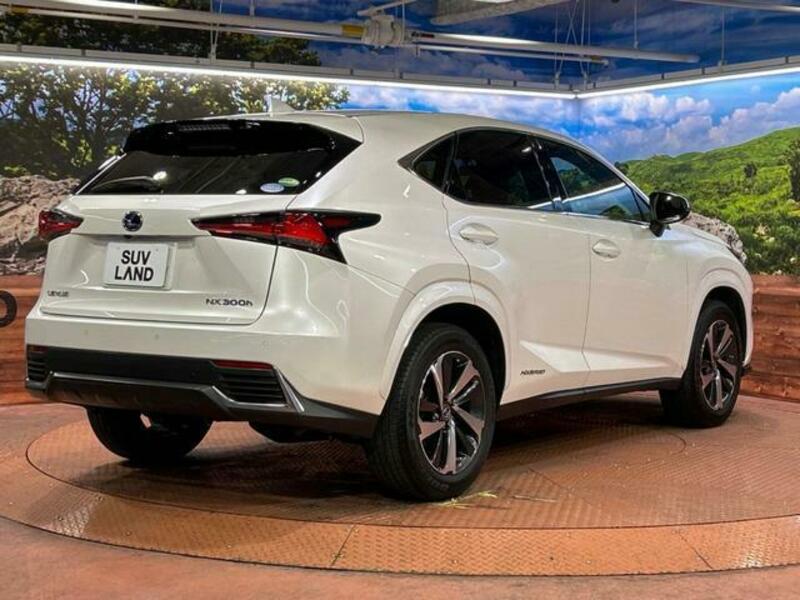 NX