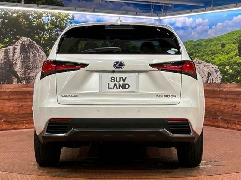 NX