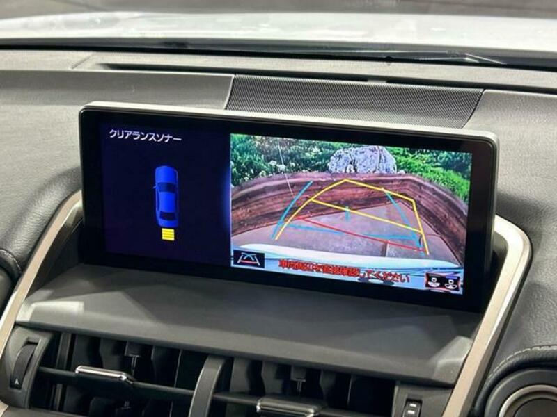 NX
