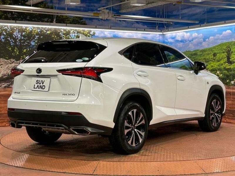 NX