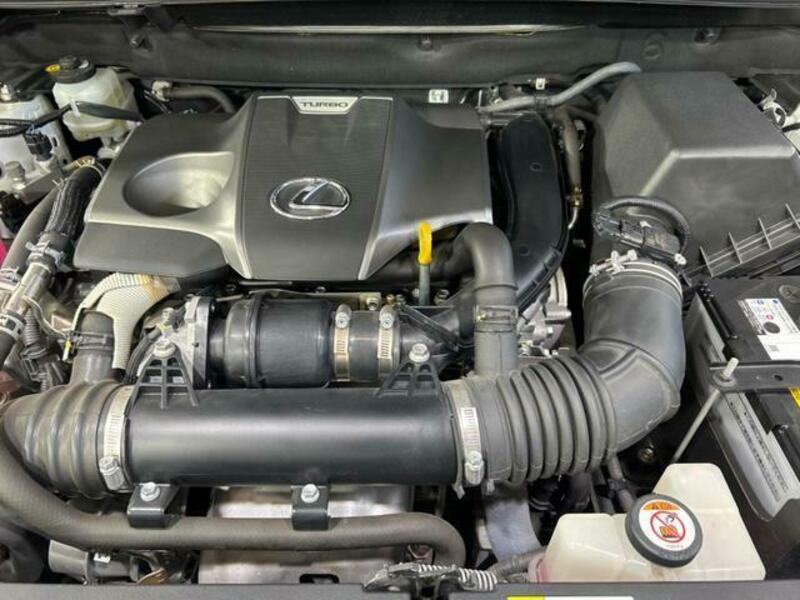 NX