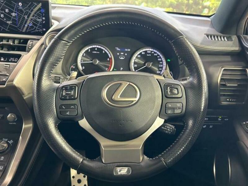 NX