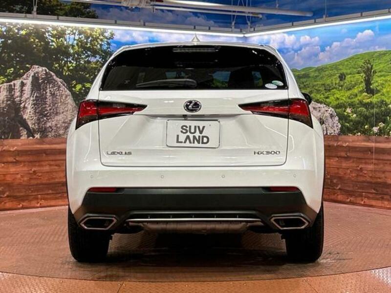 NX