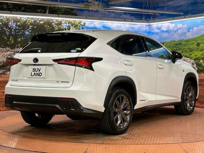 NX