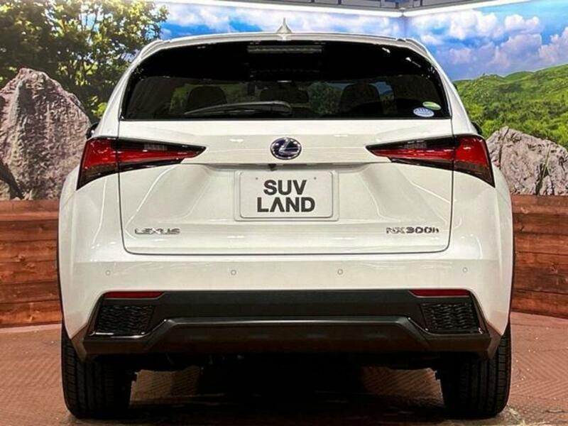 NX