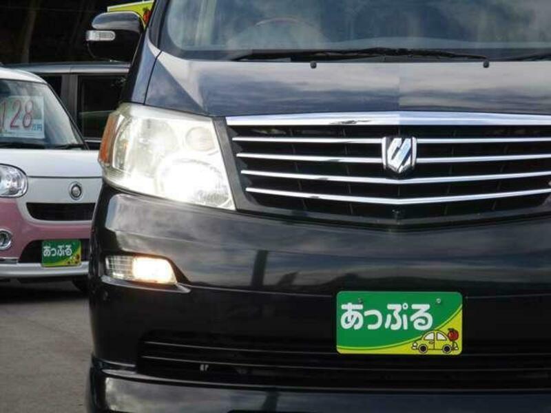 ALPHARD-18