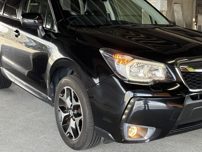 FORESTER