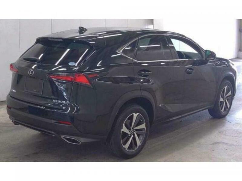 NX