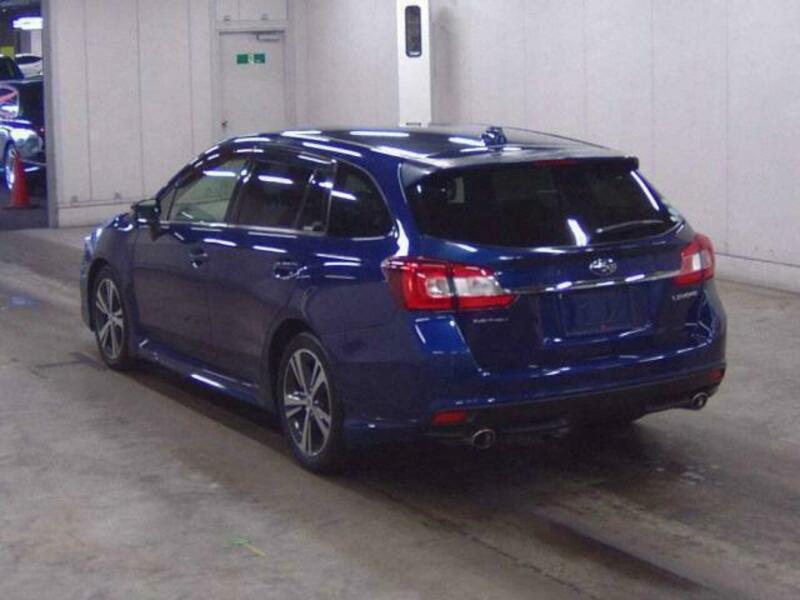LEVORG