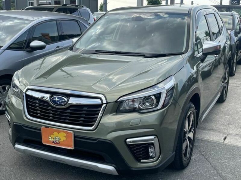 FORESTER