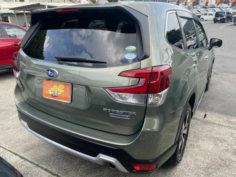 FORESTER