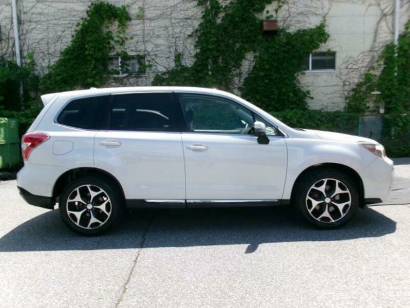 FORESTER