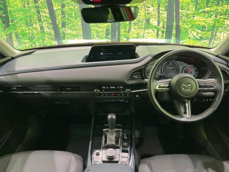 CX-30