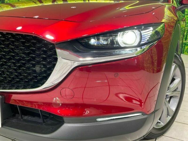 CX-30