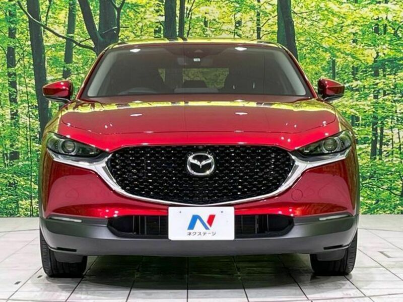CX-30