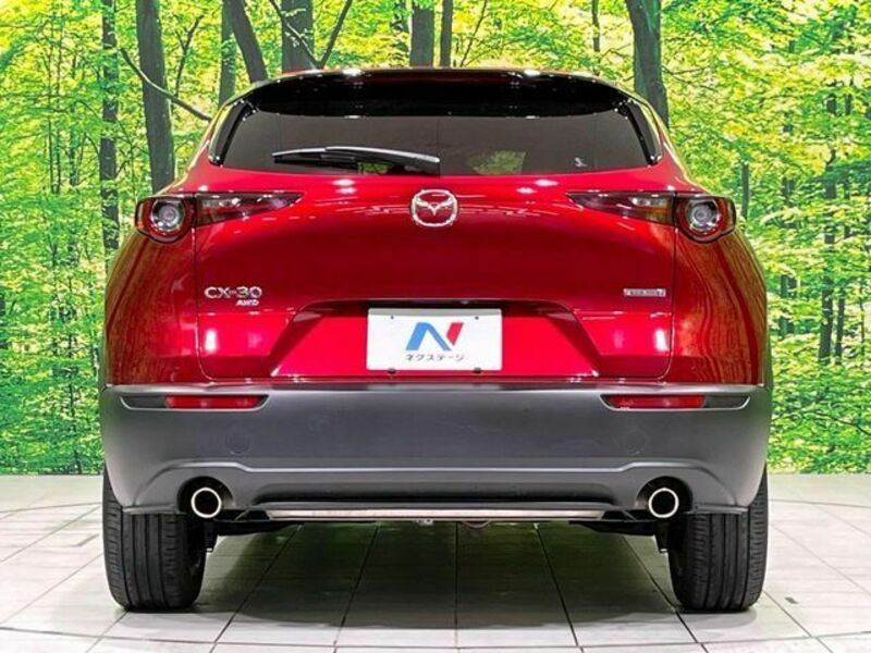 CX-30