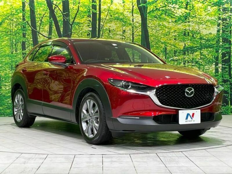 CX-30
