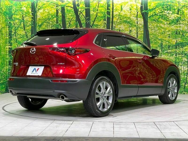 CX-30