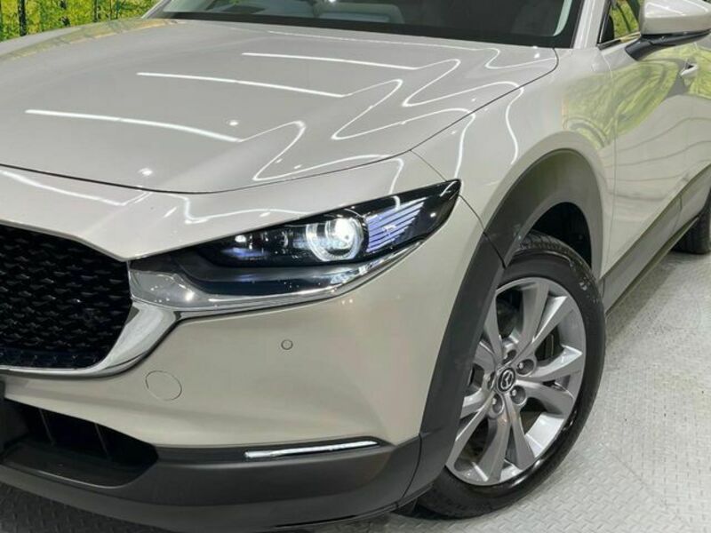 CX-30