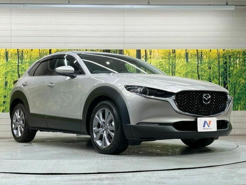 CX-30