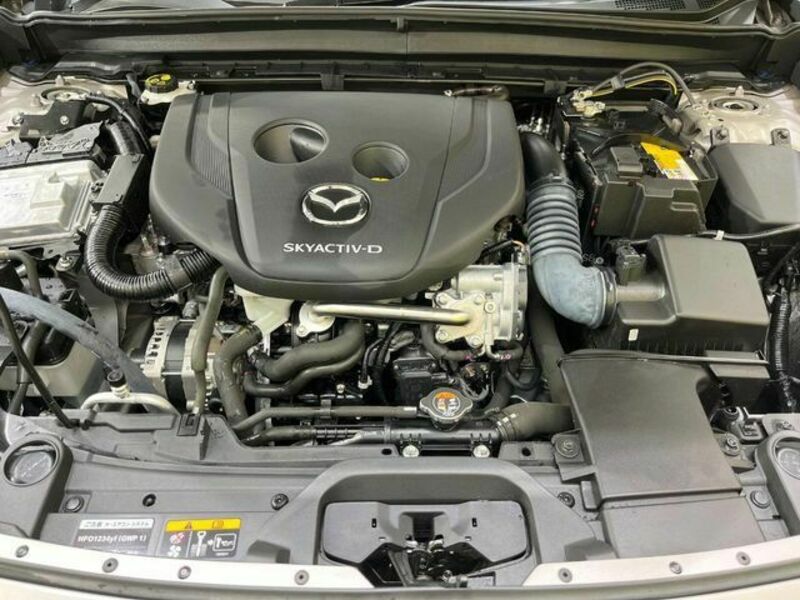 CX-30