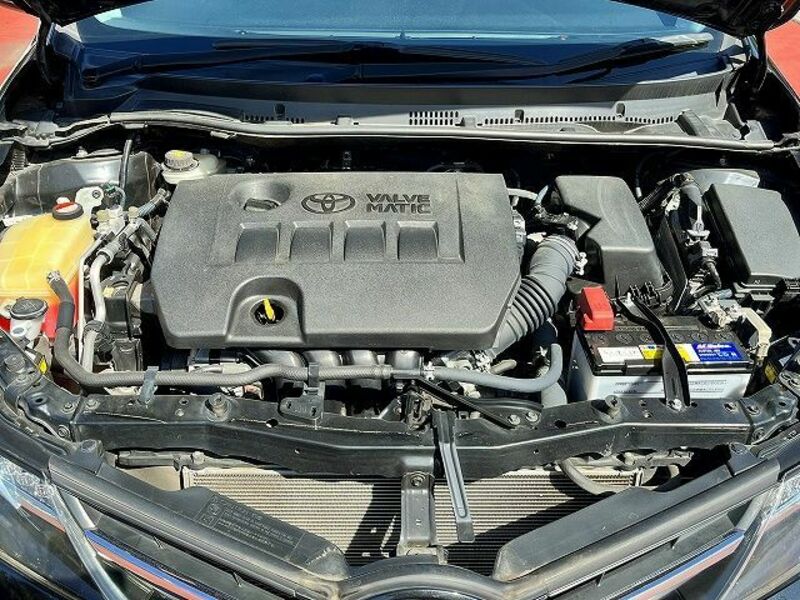 AURIS