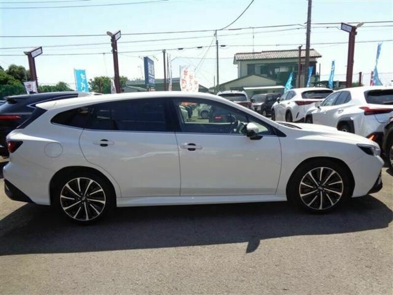 LEVORG