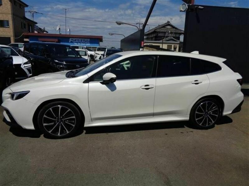 LEVORG