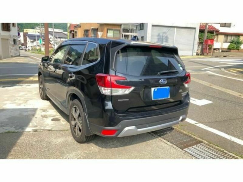 FORESTER