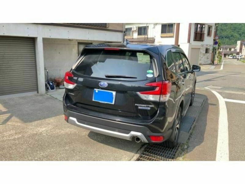 FORESTER