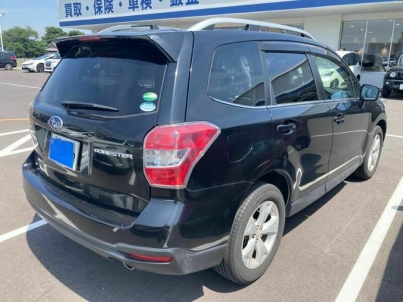FORESTER