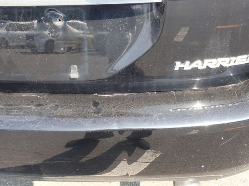 HARRIER